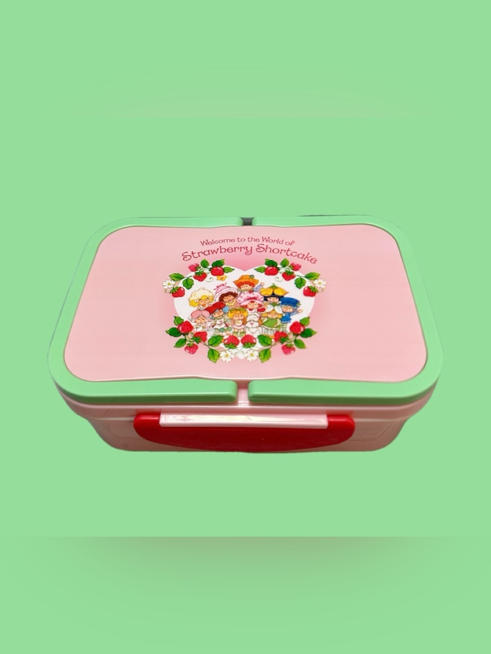 Strawberry Shortcake Pink & Mint Kids Storage Box